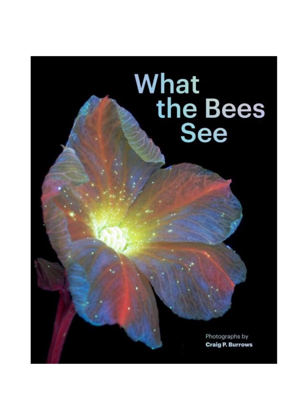 What the Bees See: A Honeybee's Eye View of the World -- Craig P. Burrows